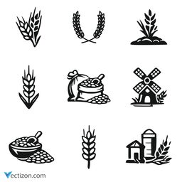 Barley Set Vector Icon