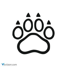 Bear Clean Icon