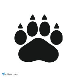 Bear Modern Icon