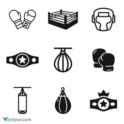 Boxing Set Icon