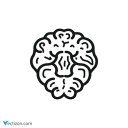Brain Icon