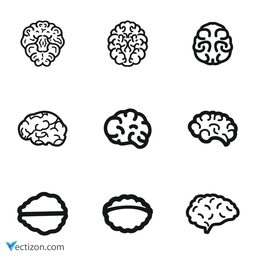 Brain Set Icon