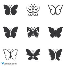 Butterfly Set Icon