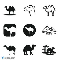 Camel Set Icon
