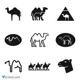 Camel Set Vector Icon