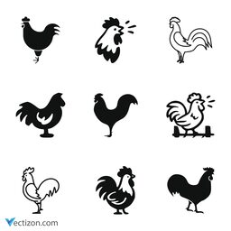 Cock Set Icon