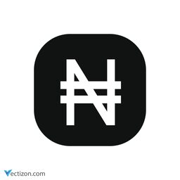 Currency Vector Symbol icon