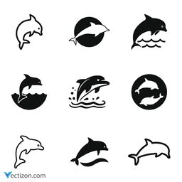 Dolphin Set Icon