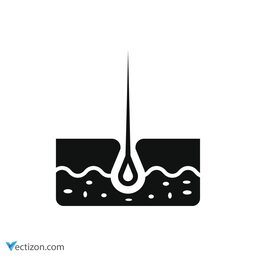 Epidermis Icon