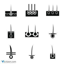 Epidermis Set Icon
