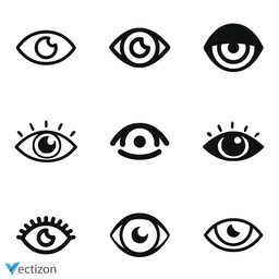 Eye Bundlle Icon