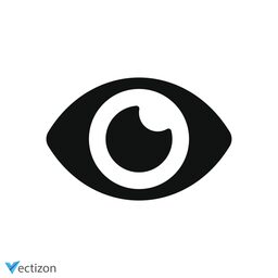 Eye Outline Icon