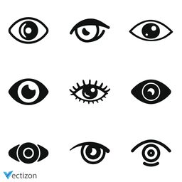 Eye Set Icon