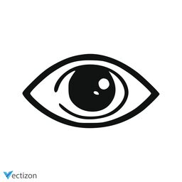 Eye Simple Icon