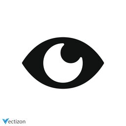 Eye Solid Icon