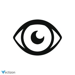 Eye Vector Symbol icon